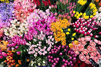 免费动作游戏新作《寻路者》加长版实机预告片